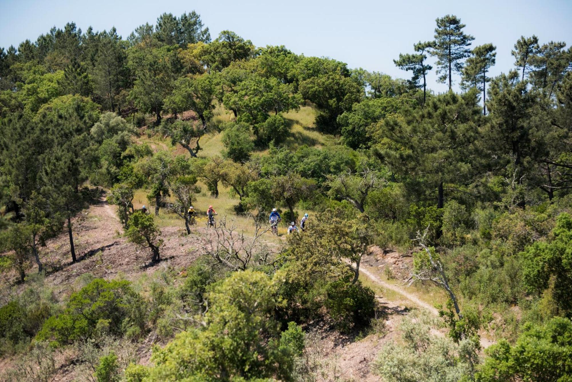 Herdade Das Barradas Da Serra Grândola Exterior photo