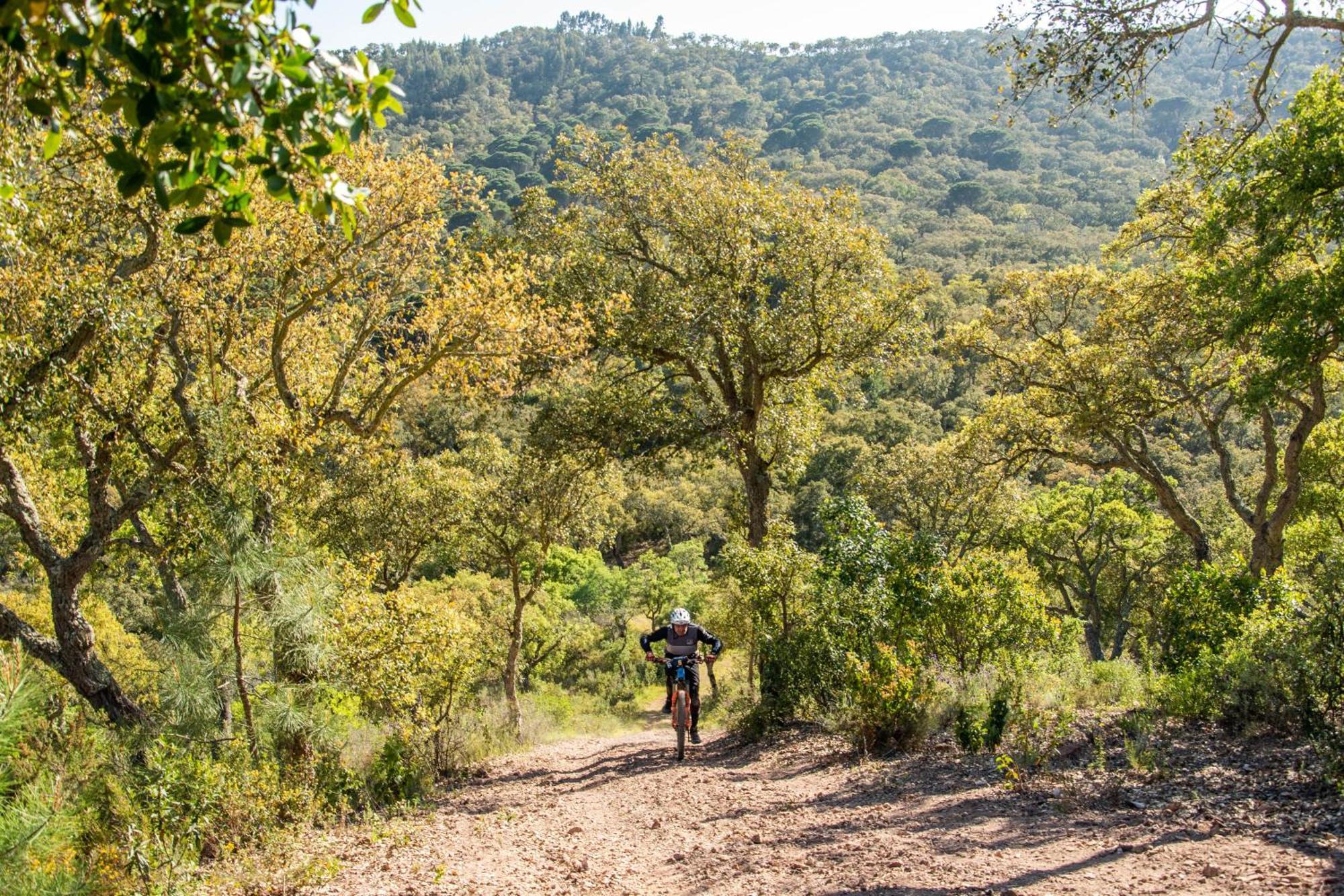 Herdade Das Barradas Da Serra Grândola Exterior photo
